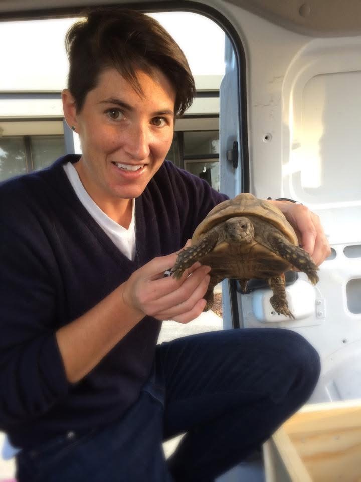 Katie caring for a tortoise
